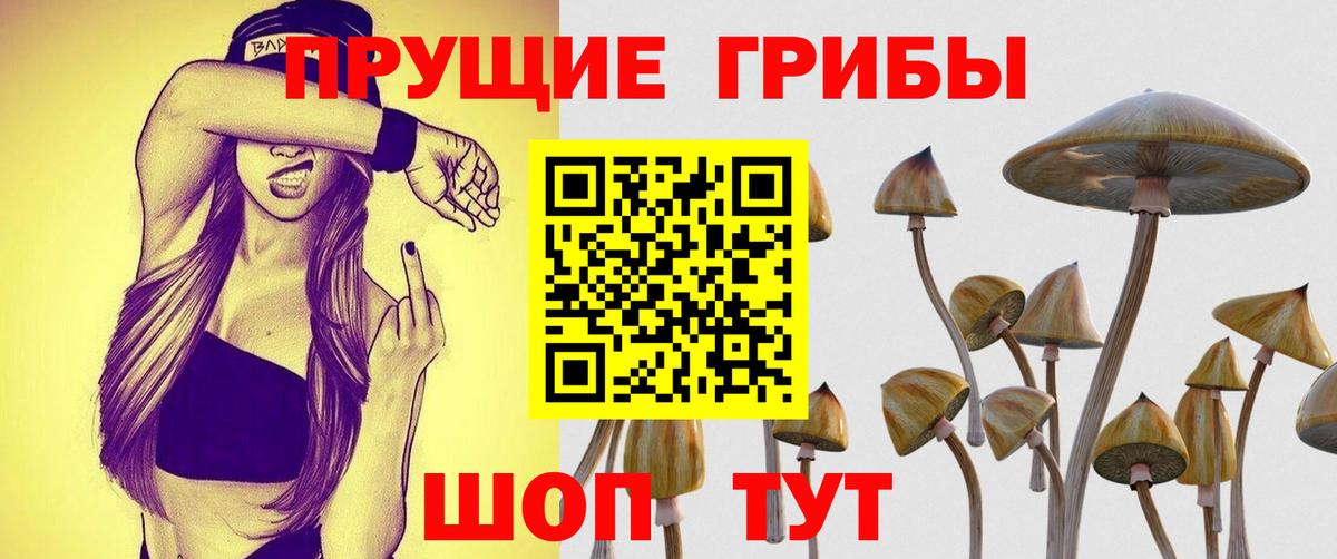 Псилоцибиновые грибы GOLDEN TEACHER Коряжма
