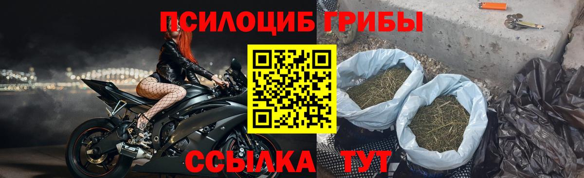 Псилоцибиновые грибы прущие грибы  Вход с VPN  Коряжма 